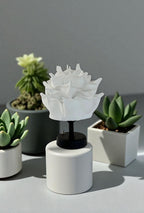 Beyaz EVA Tasarım Kablosuz Masa Lambası Siyah, Dekoratif LED Abajur